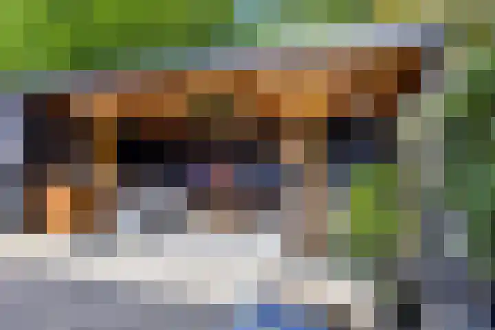 Beryl 2 Heerhugowaard thumbnail 28