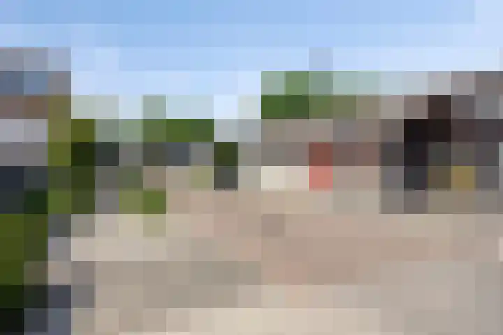 Beryl 2 Heerhugowaard thumbnail 29