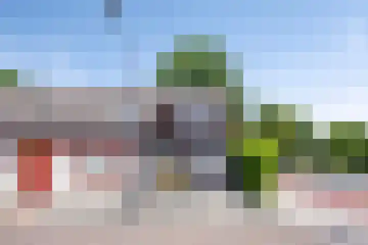 Beryl 2 Heerhugowaard thumbnail 4