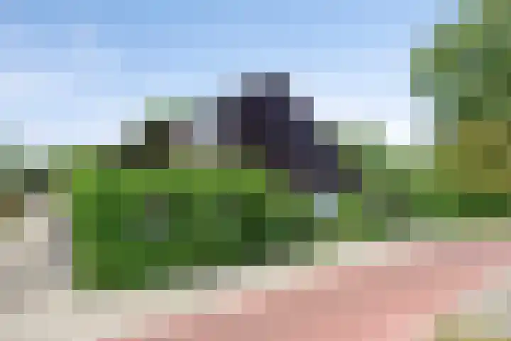 Beryl 2 Heerhugowaard thumbnail 5
