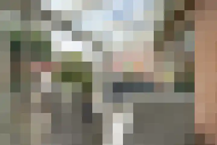 Beryl 4 's-Gravenzande thumbnail 17