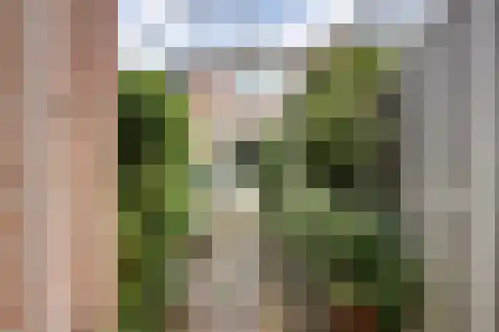 Beryl 4 's-Gravenzande thumbnail 20