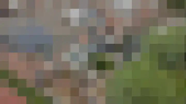 Beryl 4 's-Gravenzande thumbnail 26