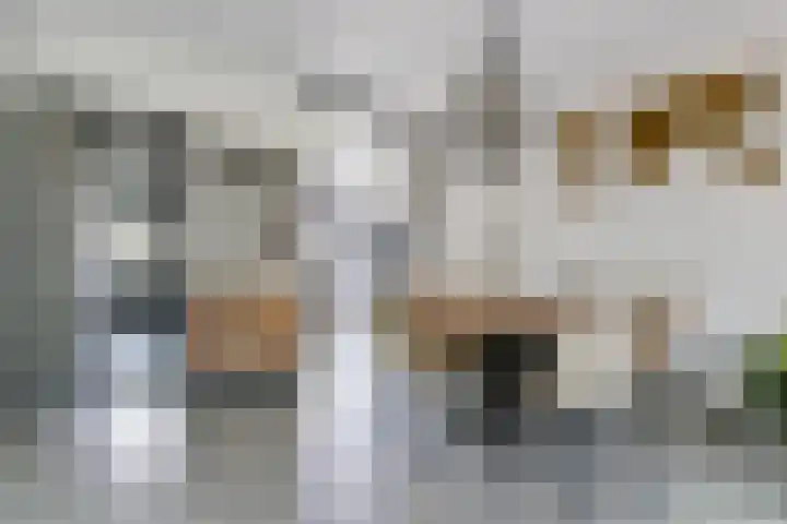 Beryl 4 's-Gravenzande thumbnail 6