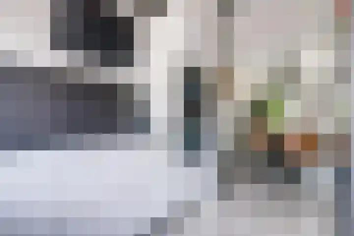 Beryl 4 's-Gravenzande thumbnail 8