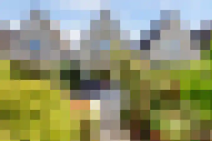 Beryl 45 Zoetermeer thumbnail 21