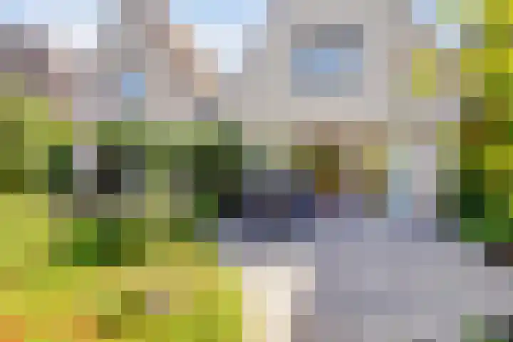 Beryl 45 Zoetermeer thumbnail 22