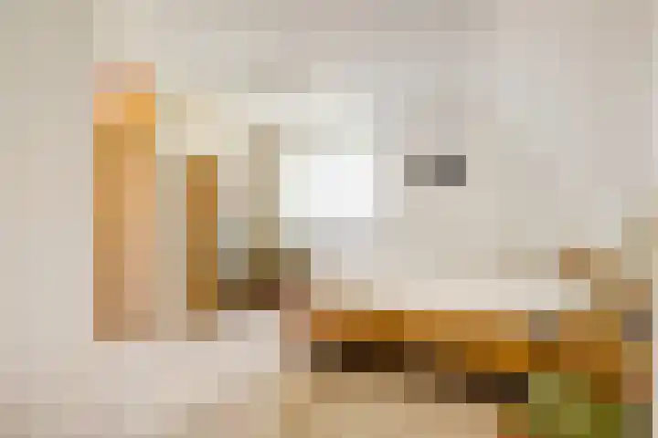 Beryl 45 Zoetermeer thumbnail 31