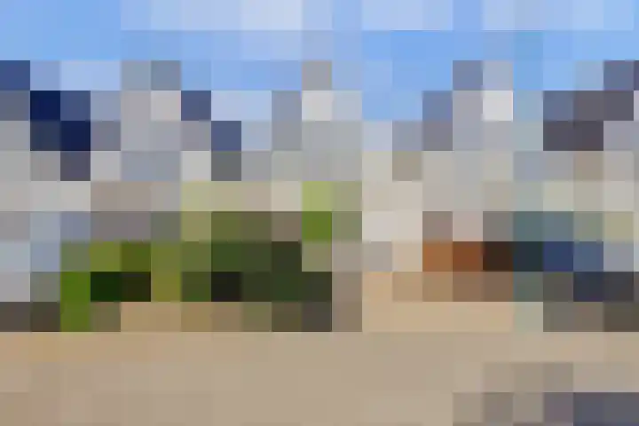Beryl 45 Zoetermeer thumbnail 7