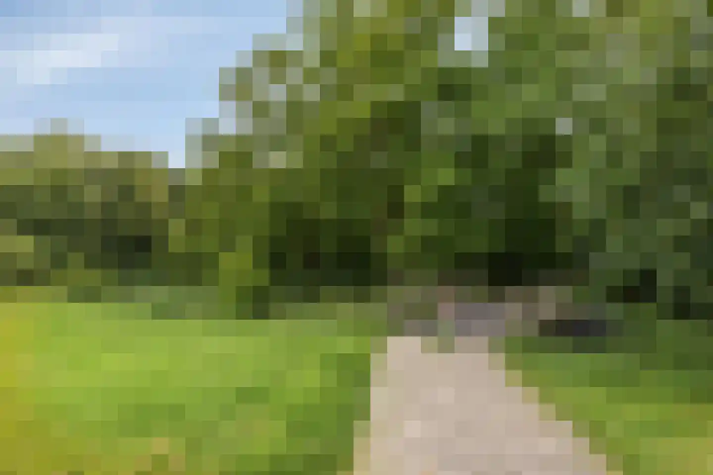 Beryldreef 20 Emmen thumbnail 25
