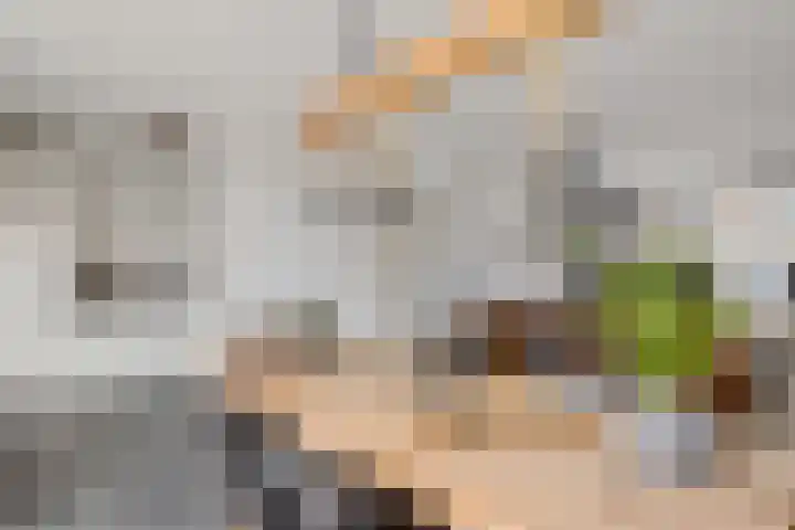 Beryldreef 6 Emmen thumbnail 13