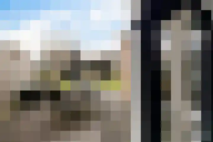 Beryldreef 6 Emmen thumbnail 14