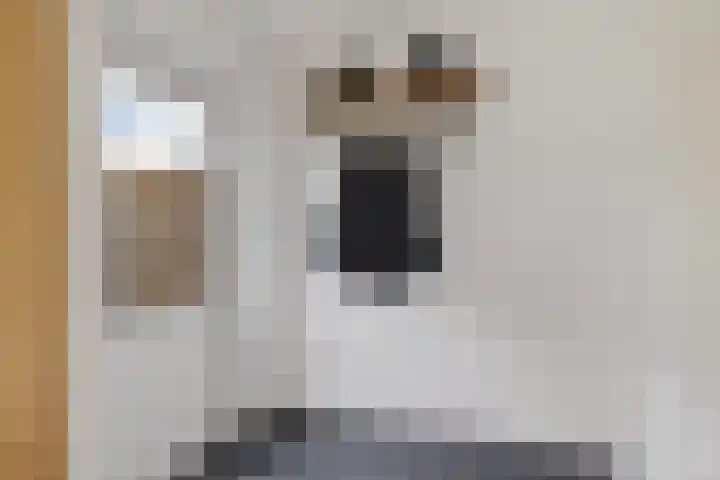 Beryldreef 6 Emmen thumbnail 20