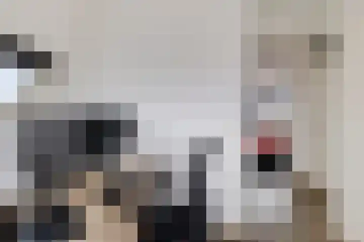 Beryldreef 6 Emmen thumbnail 33