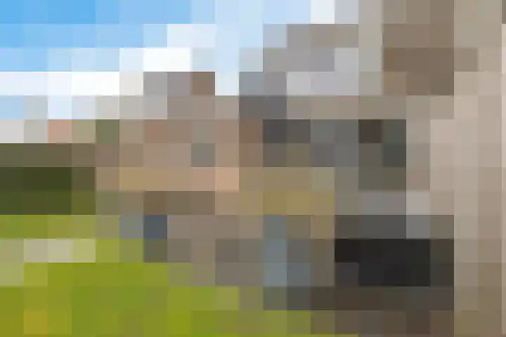 Beryldreef 6 Emmen thumbnail 40