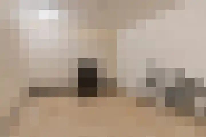 Besançonlaan 1 Eindhoven thumbnail 22