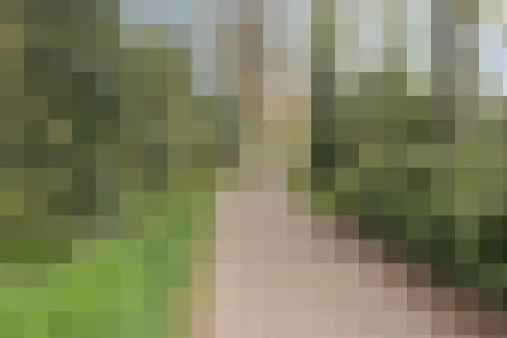 Besançonlaan 1 Eindhoven thumbnail 24