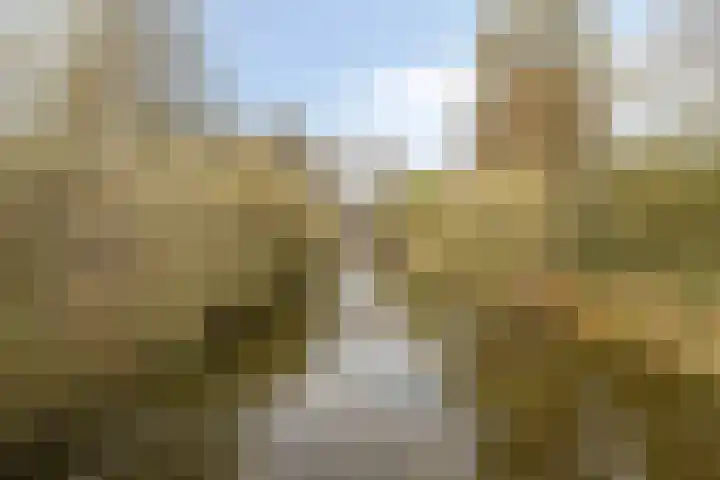 Besançonlaan 1 Eindhoven thumbnail 26