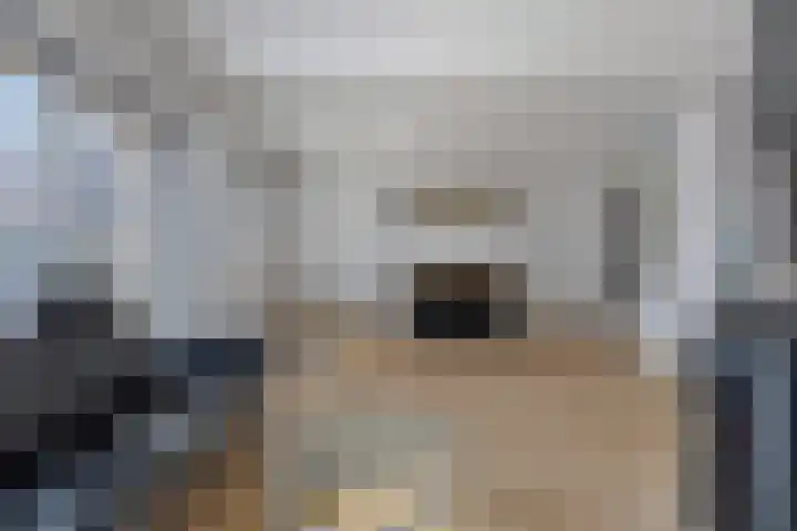 Besançonlaan 1 Eindhoven thumbnail 6