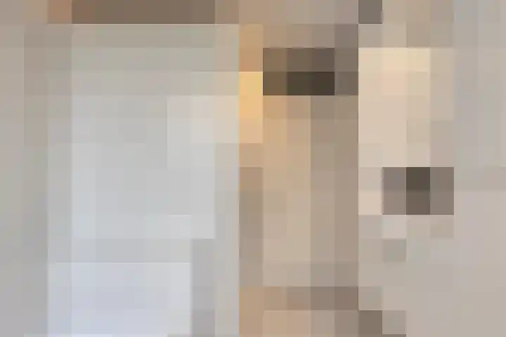 Besançonlaan 8 Eindhoven thumbnail 17