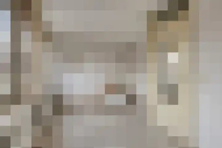 Besançonlaan 8 Eindhoven thumbnail 20