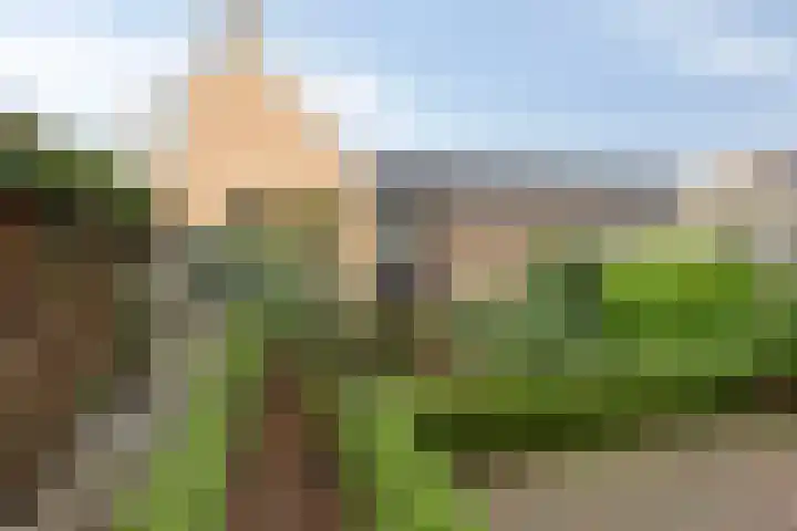 Besançonlaan 8 Eindhoven thumbnail 24