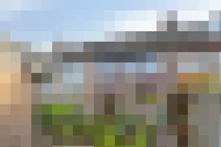 Besançonlaan 8 Eindhoven thumbnail 25