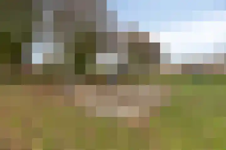 Besançonlaan 8 Eindhoven thumbnail 30