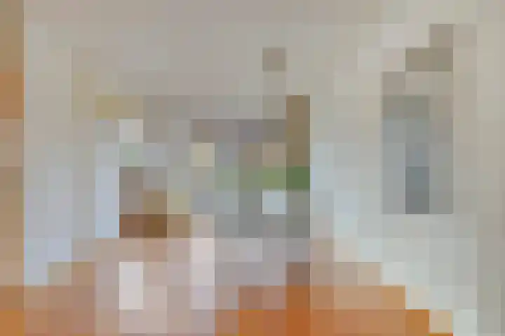 Besançonlaan 8 Eindhoven thumbnail 6