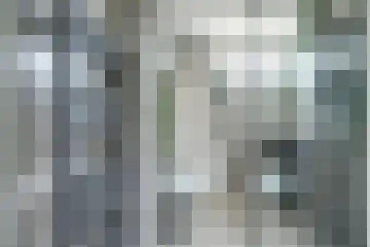 Beschoeiing 69 Hoogvliet Rotterdam thumbnail 10