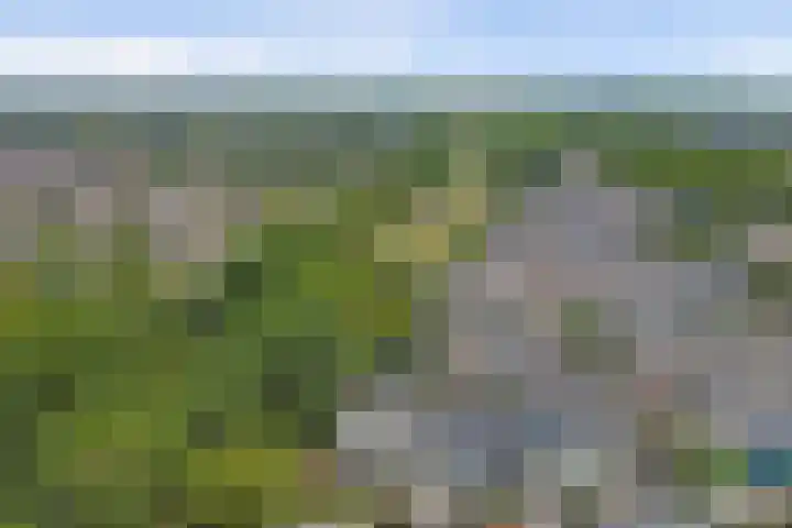Beschoeiing 69 Hoogvliet Rotterdam thumbnail 23