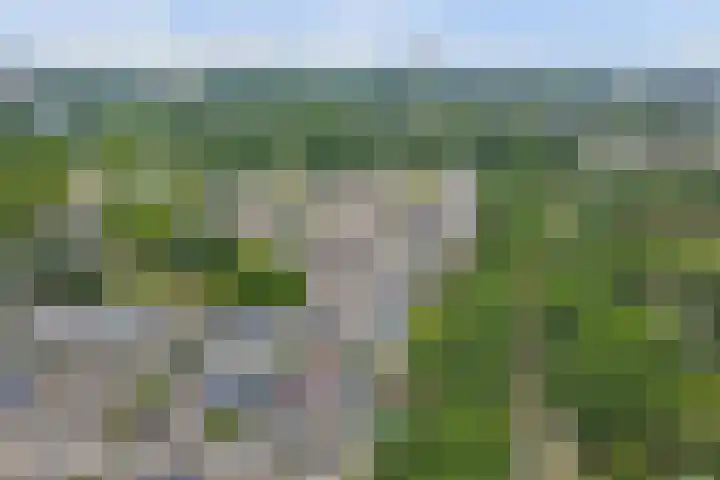 Beschoeiing 69 Hoogvliet Rotterdam thumbnail 24