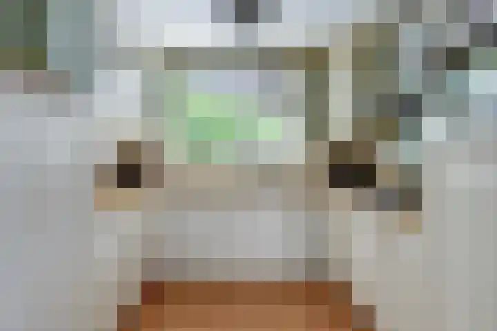 Beschoeiing 69 Hoogvliet Rotterdam thumbnail 4