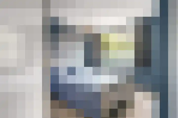 Beschoeiing 69 Hoogvliet Rotterdam thumbnail 7