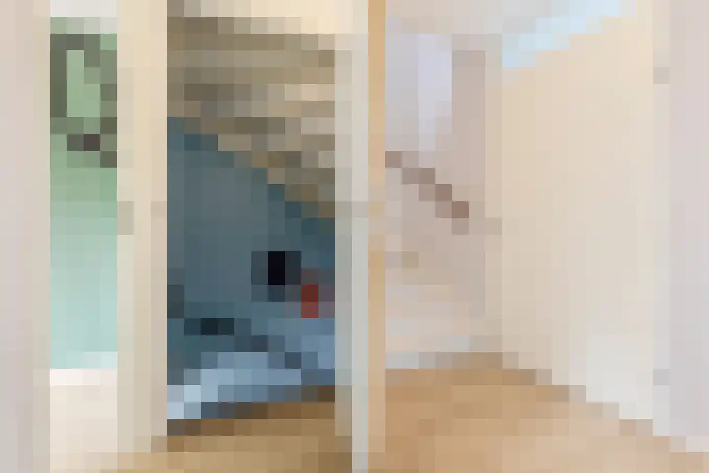 Beschuitstorenstraat 12 Wormer thumbnail 11