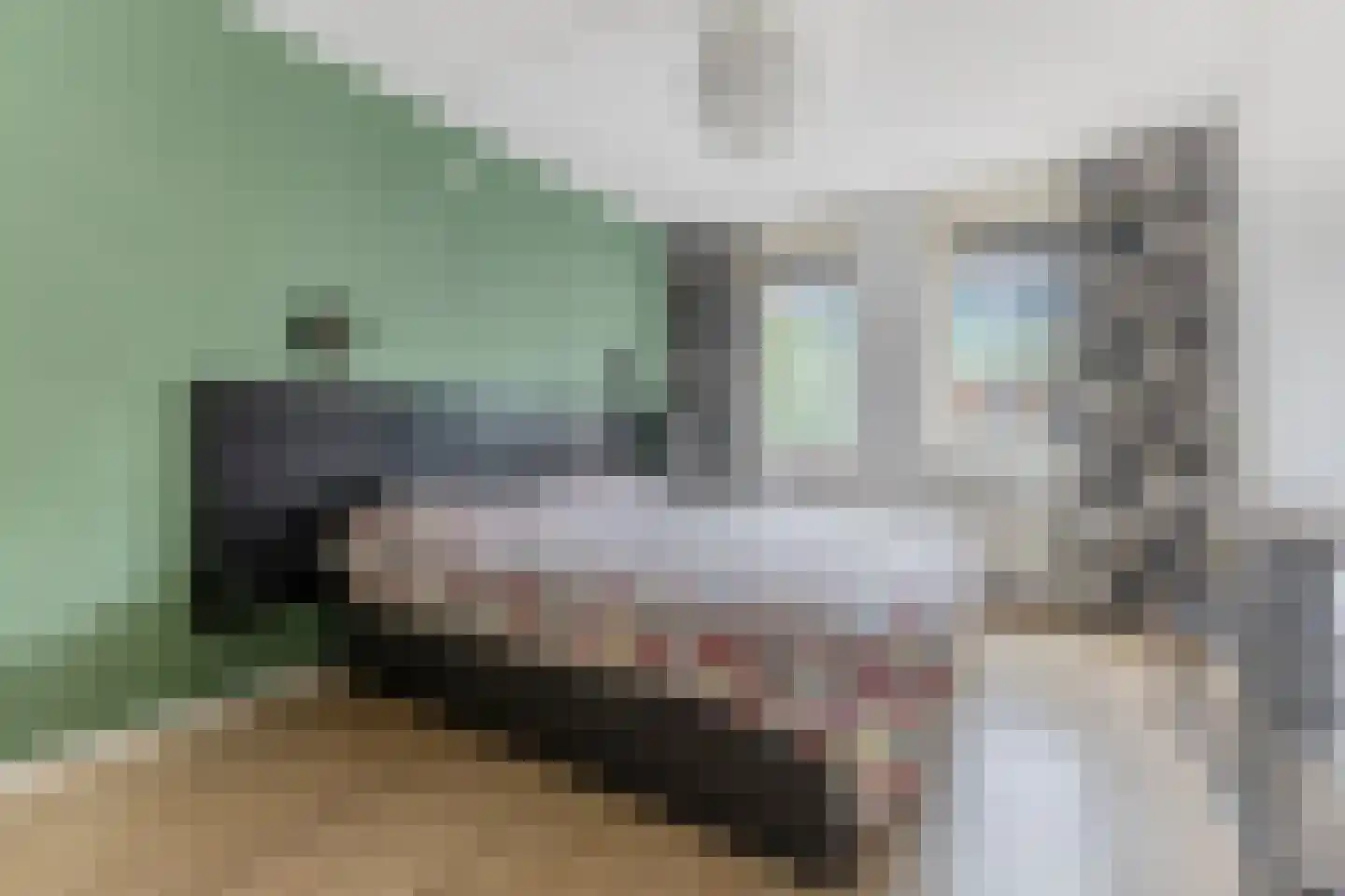 Beschuitstorenstraat 12 Wormer thumbnail 12