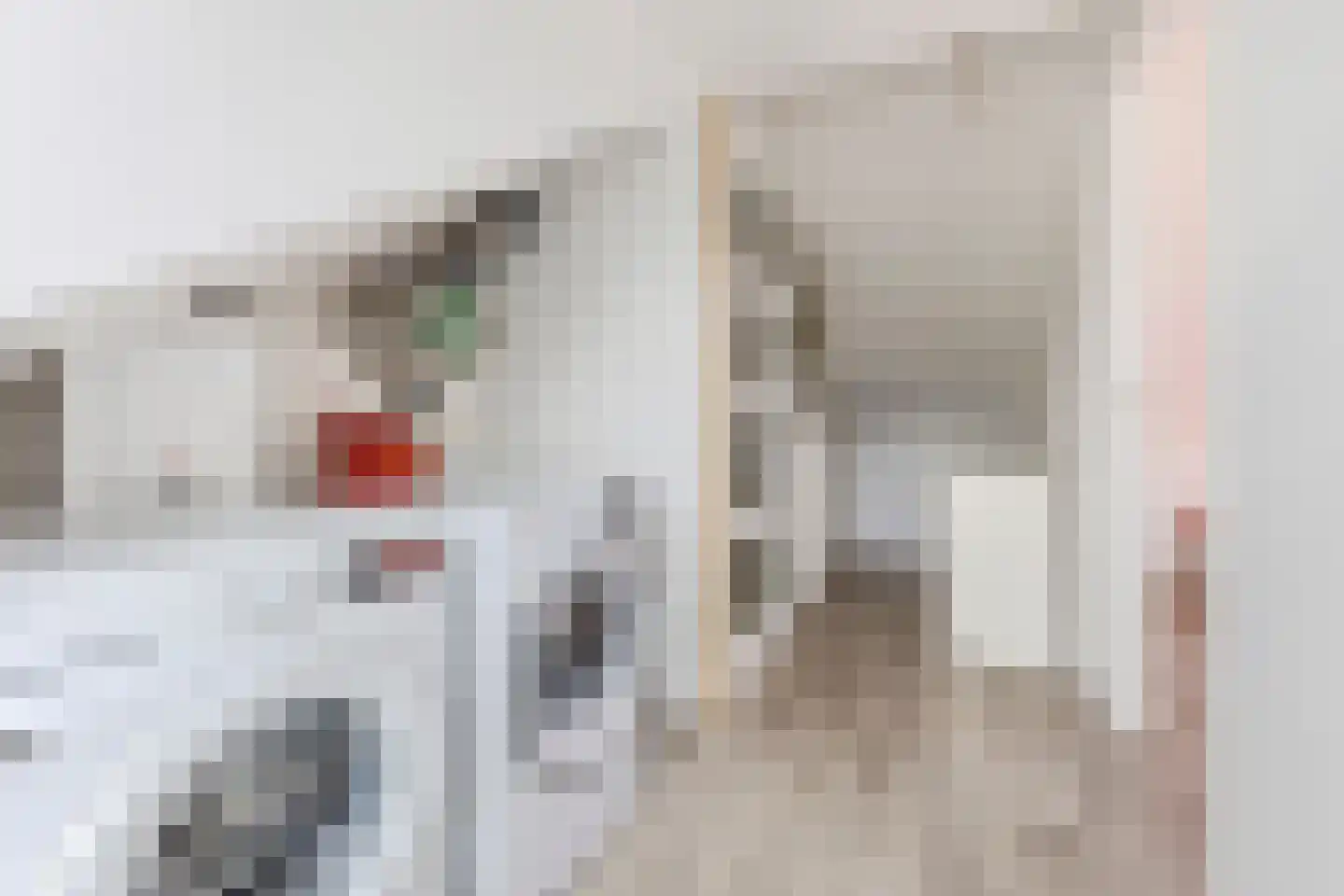 Beschuitstorenstraat 12 Wormer thumbnail 22