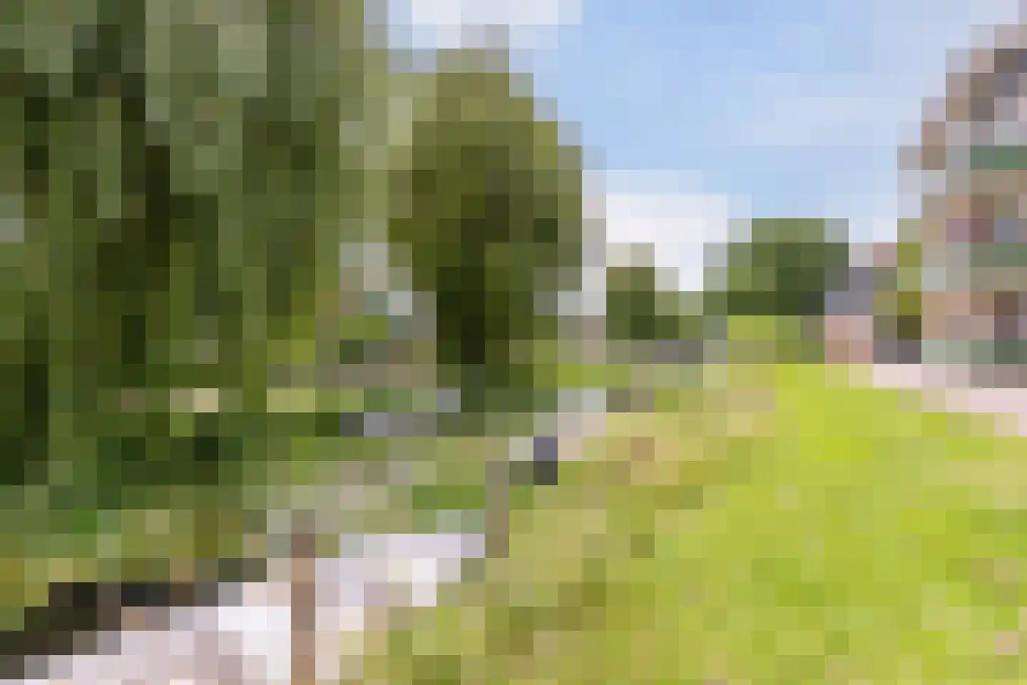Beschuitstorenstraat 12 Wormer thumbnail 28
