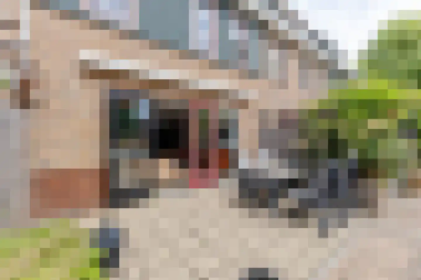 Beschuitstorenstraat 12 Wormer thumbnail 8