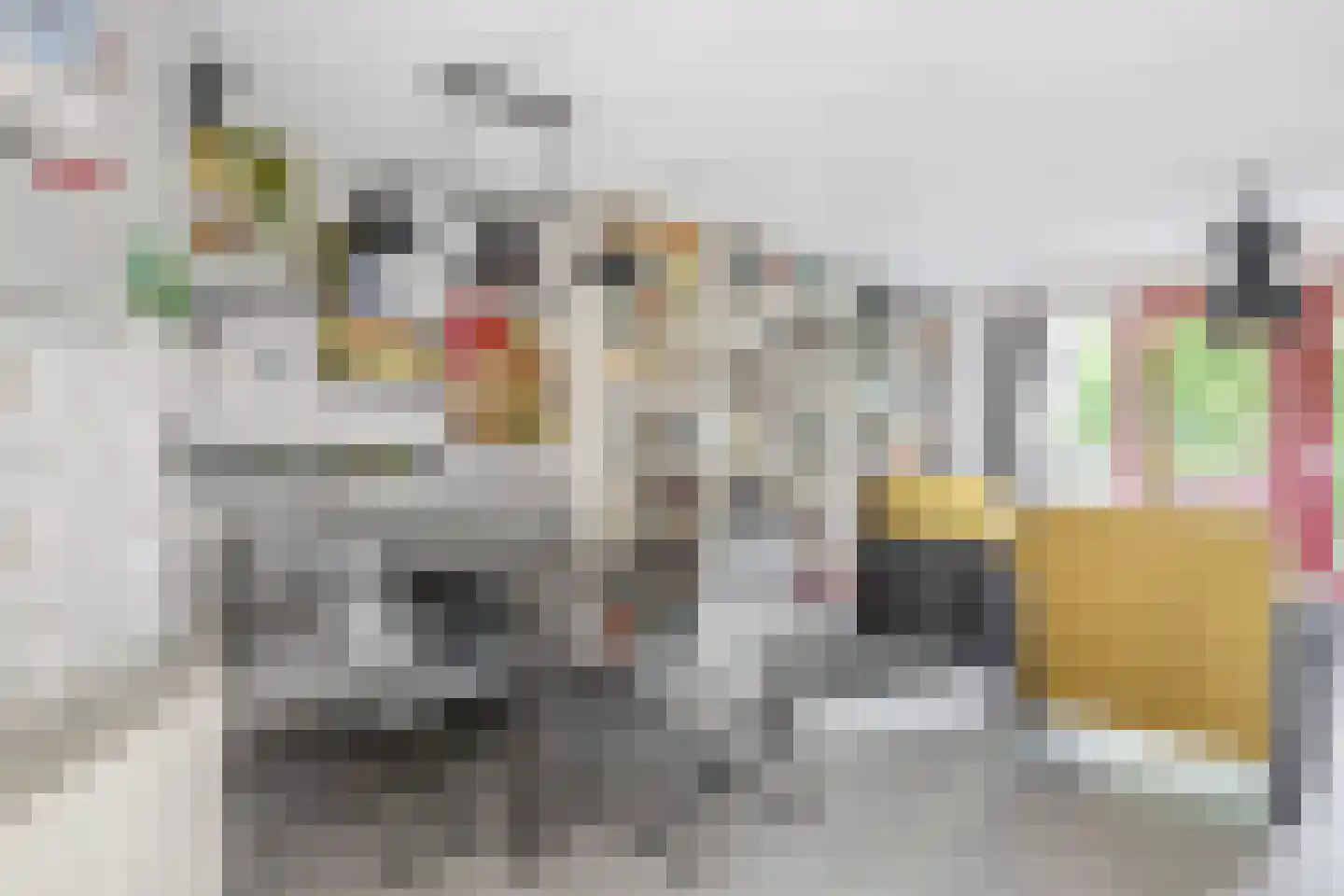 Beschuitstorenstraat 5 Wormer thumbnail 14