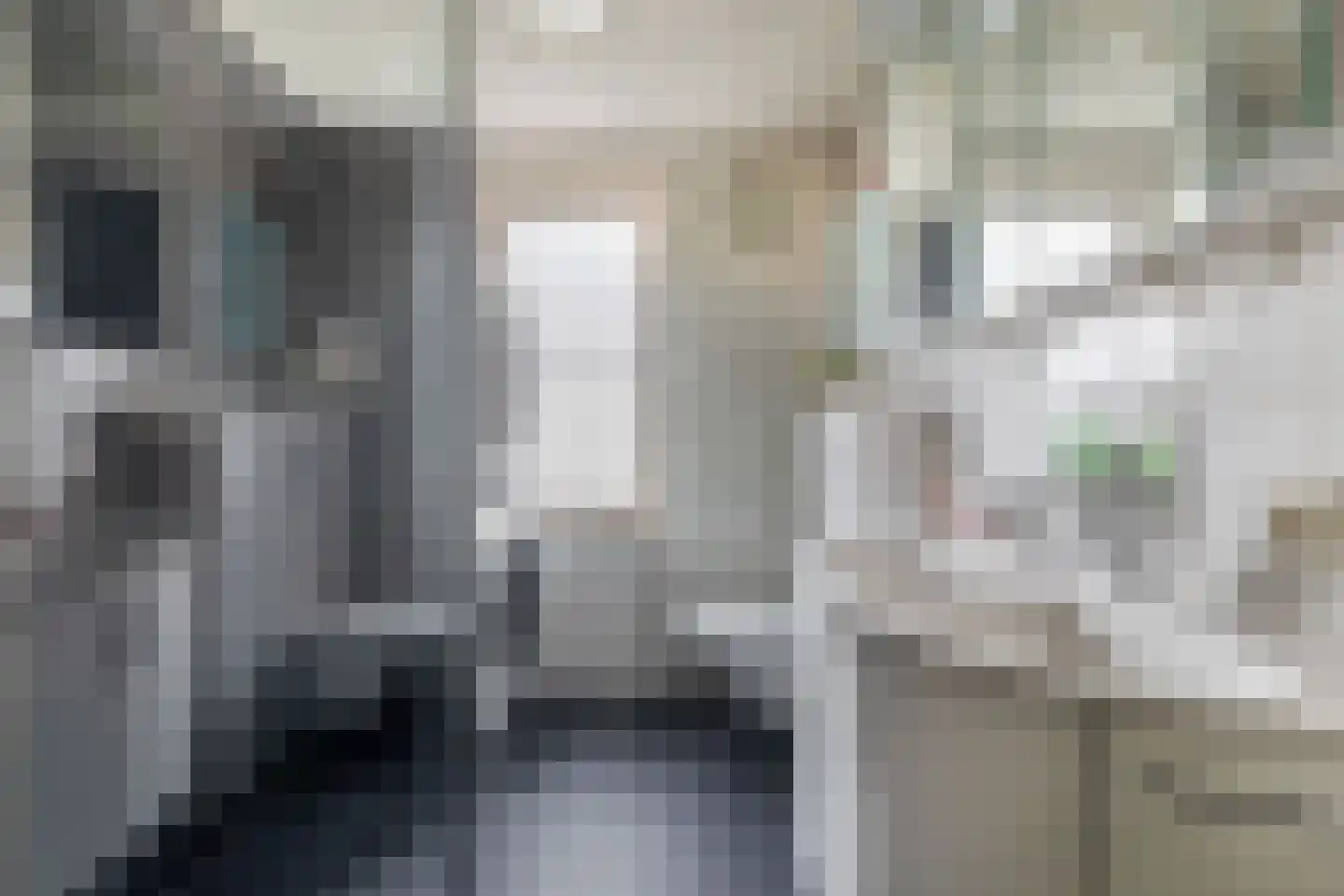 Beschuitstorenstraat 5 Wormer thumbnail 26