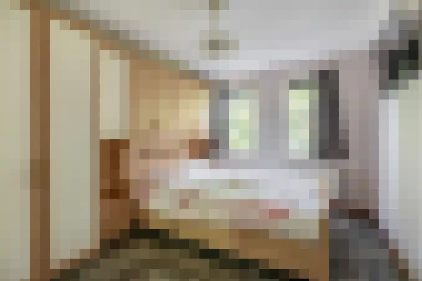 Beschuitstorenstraat 5 Wormer thumbnail 7