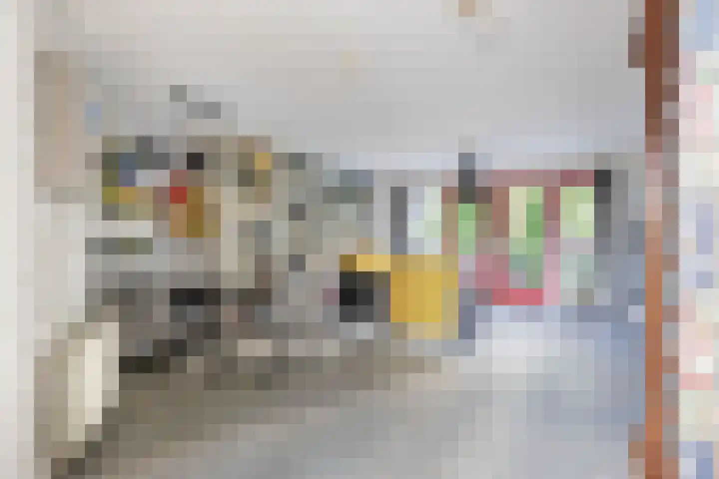 Beschuitstorenstraat 5 Wormer thumbnail 9
