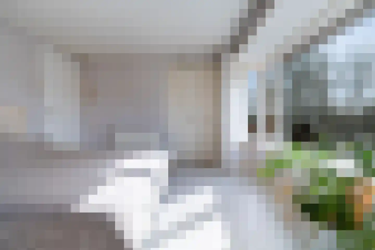 Besemerstraat 12 A 02 Rotterdam thumbnail 33