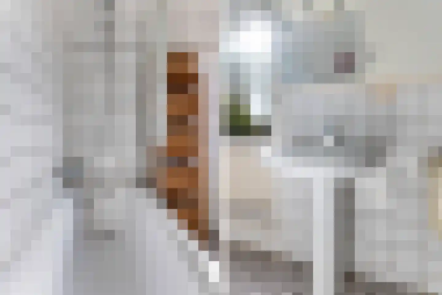 Besemerstraat 12 A 02 Rotterdam thumbnail 37