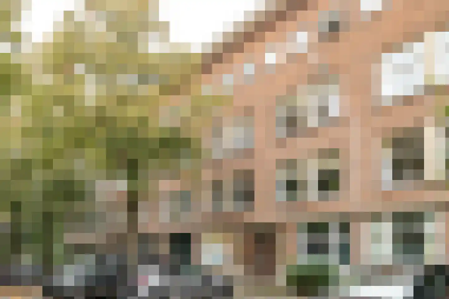 Besemerstraat 6 B 02 Rotterdam