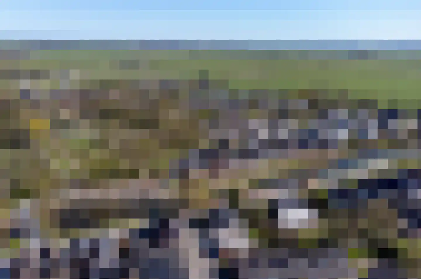 Besheerspolder 2 Grijpskerk thumbnail 15