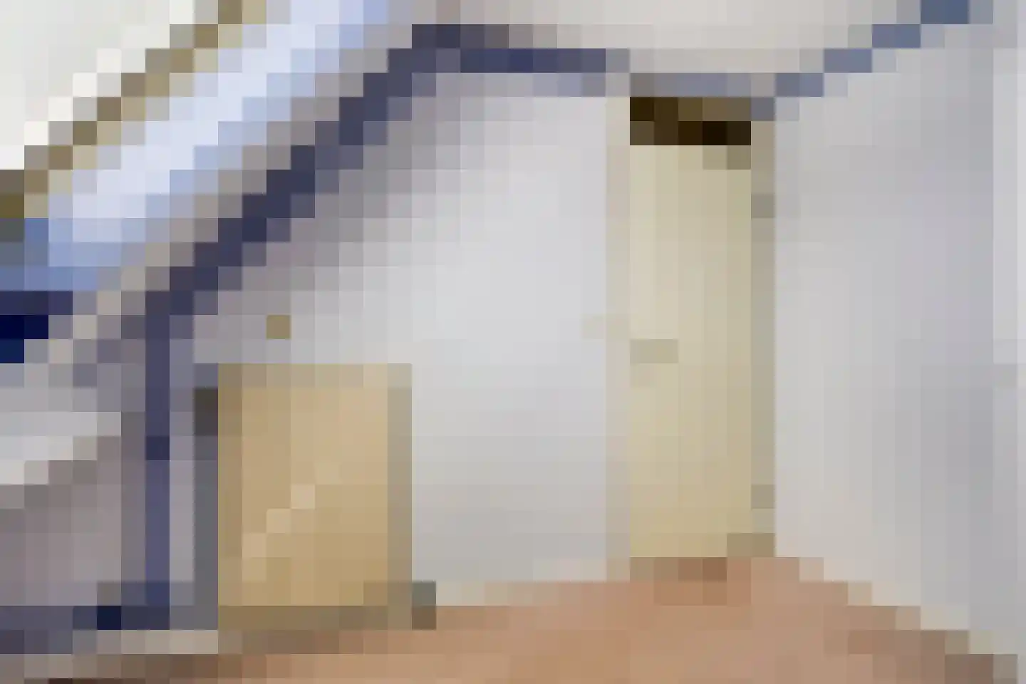 Besheerspolder 2 Grijpskerk thumbnail 42