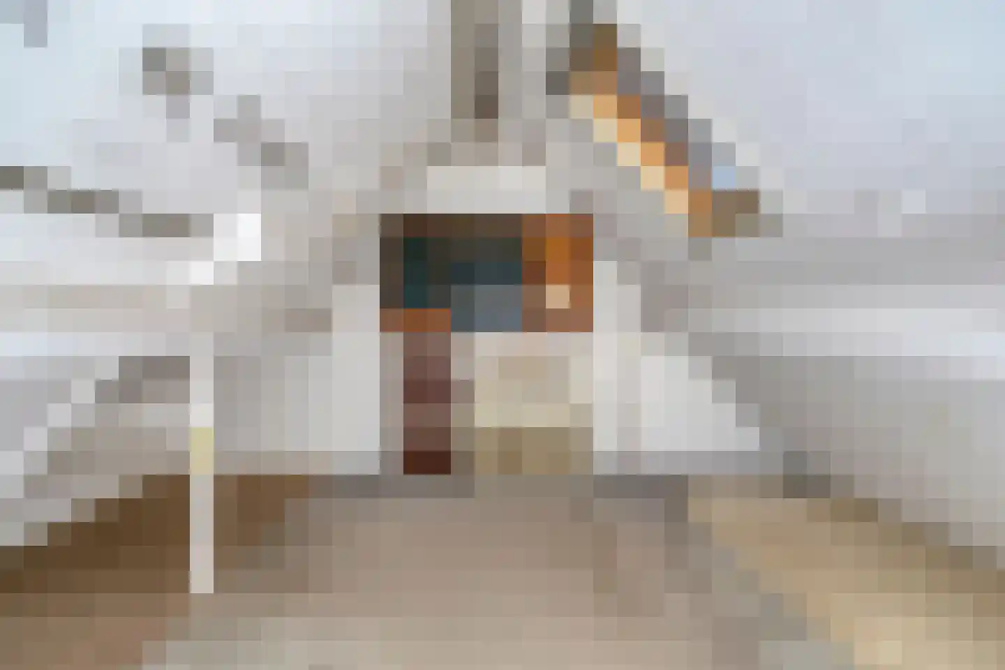 Besheerspolder 2 Grijpskerk thumbnail 45
