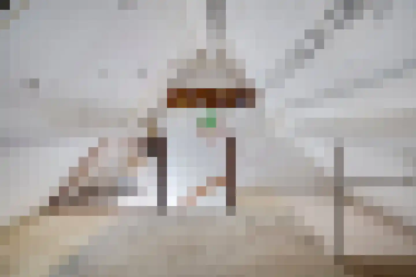 Besheerspolder 2 Grijpskerk thumbnail 46